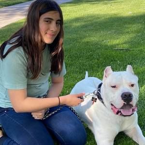 Meet your Posher, Andres